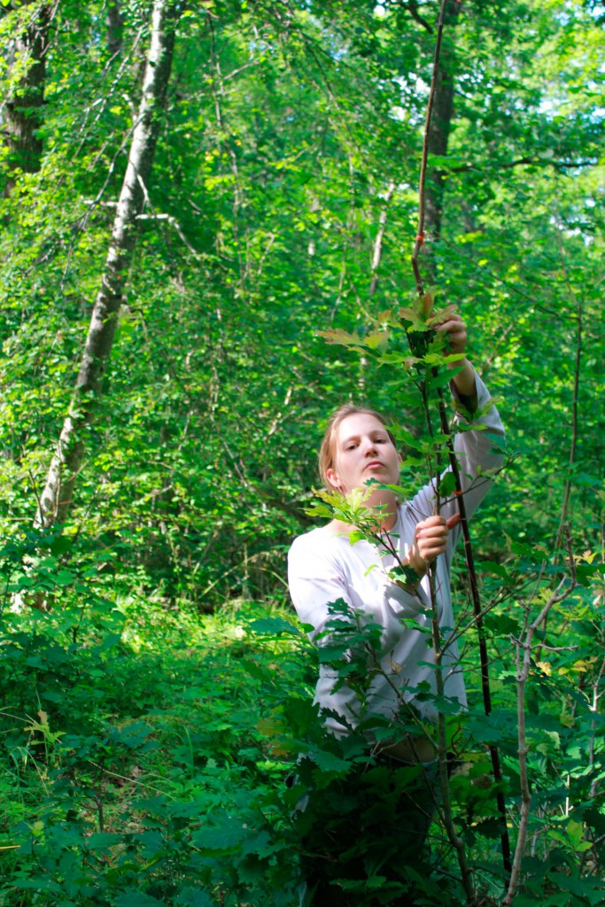 Doktoranden Jenny Leonardsson har studerat naturreservat med ekskog.